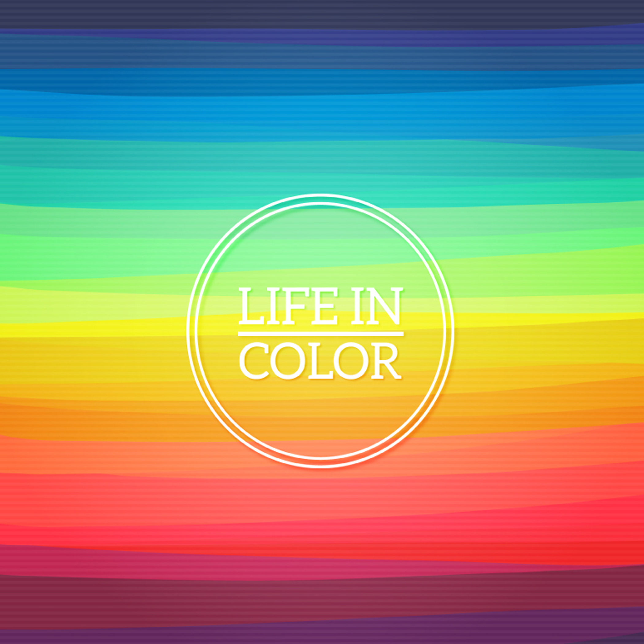 香港的奉獻精神同樣彰顯於對傳統文化的保護與創新之中